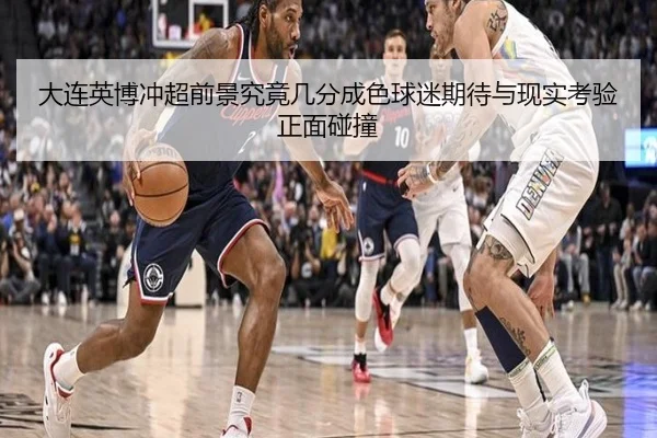 大连英博冲超前景究竟几分成色球迷期待与现实考验正面碰撞